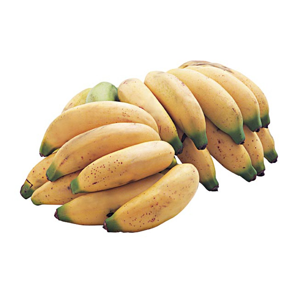 Imagem para seleção