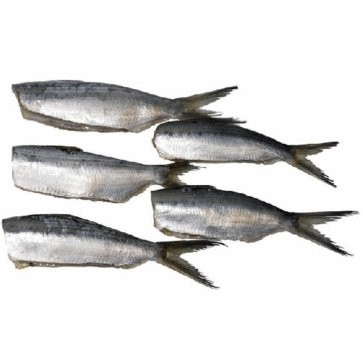Sardinha Eviscerada Congelada 300g