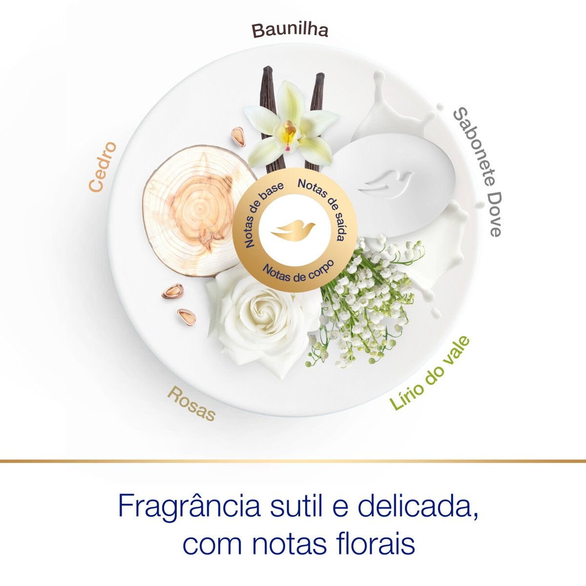 Imagem para seleção