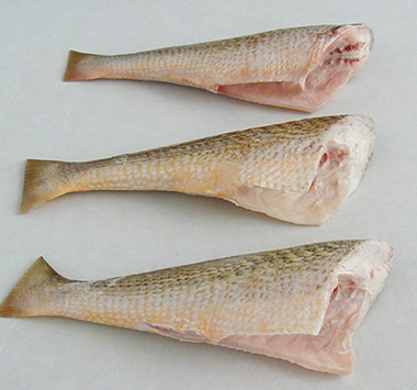 CORVINA EVISCERADA CONGELADA PACOTE DE 800g