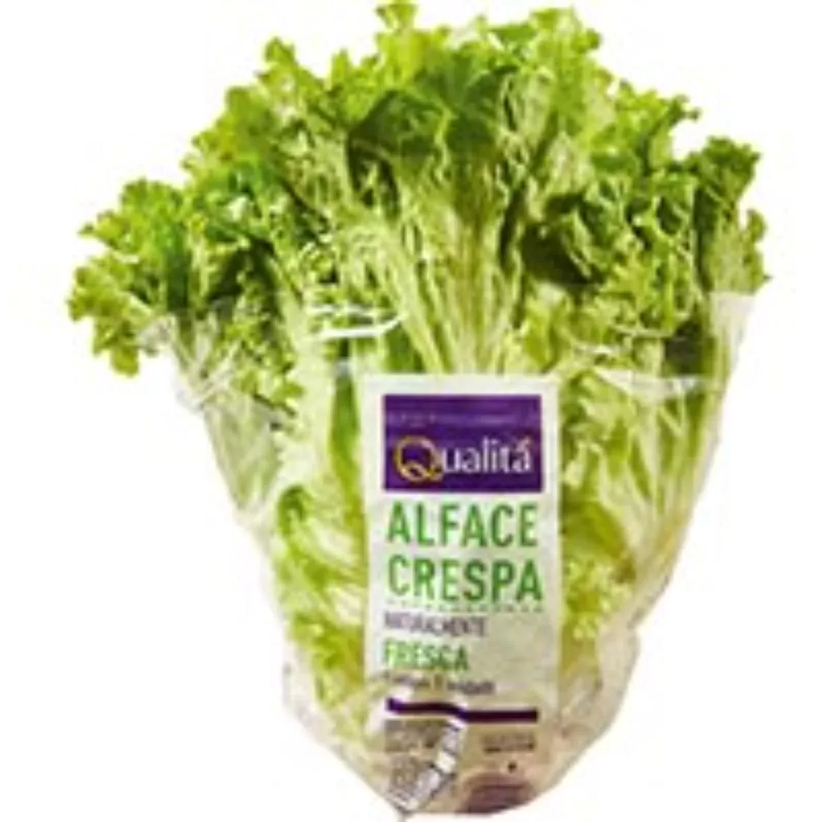 Alface Crespa Naturalmente Fresca Qualitá