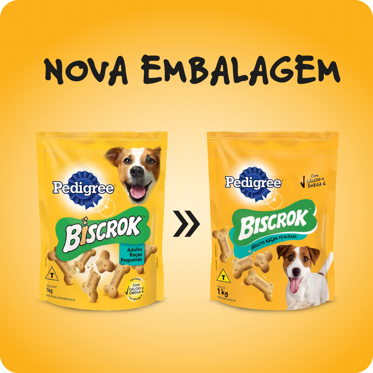 Imagem para seleção