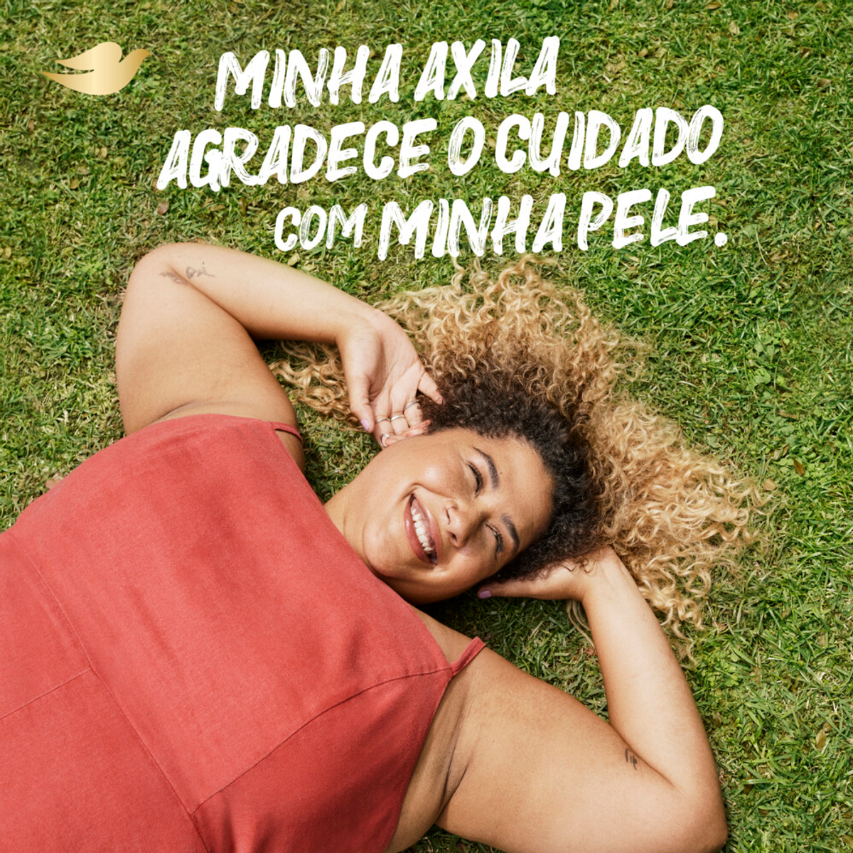 Imagem para seleção