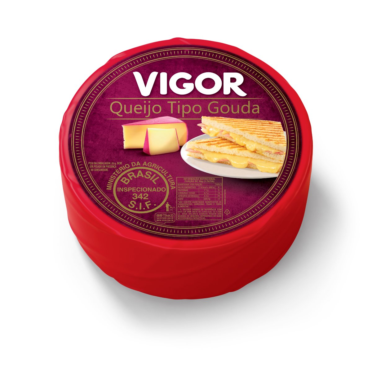 Queijo Tipo Gouda Vigor