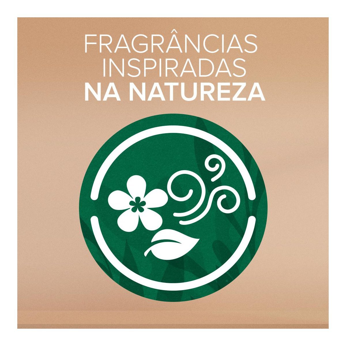 Imagem para seleção