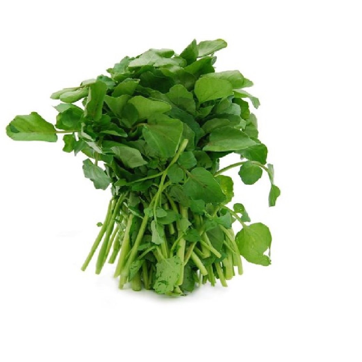 Agrião Higienizado Hidropônico 140g