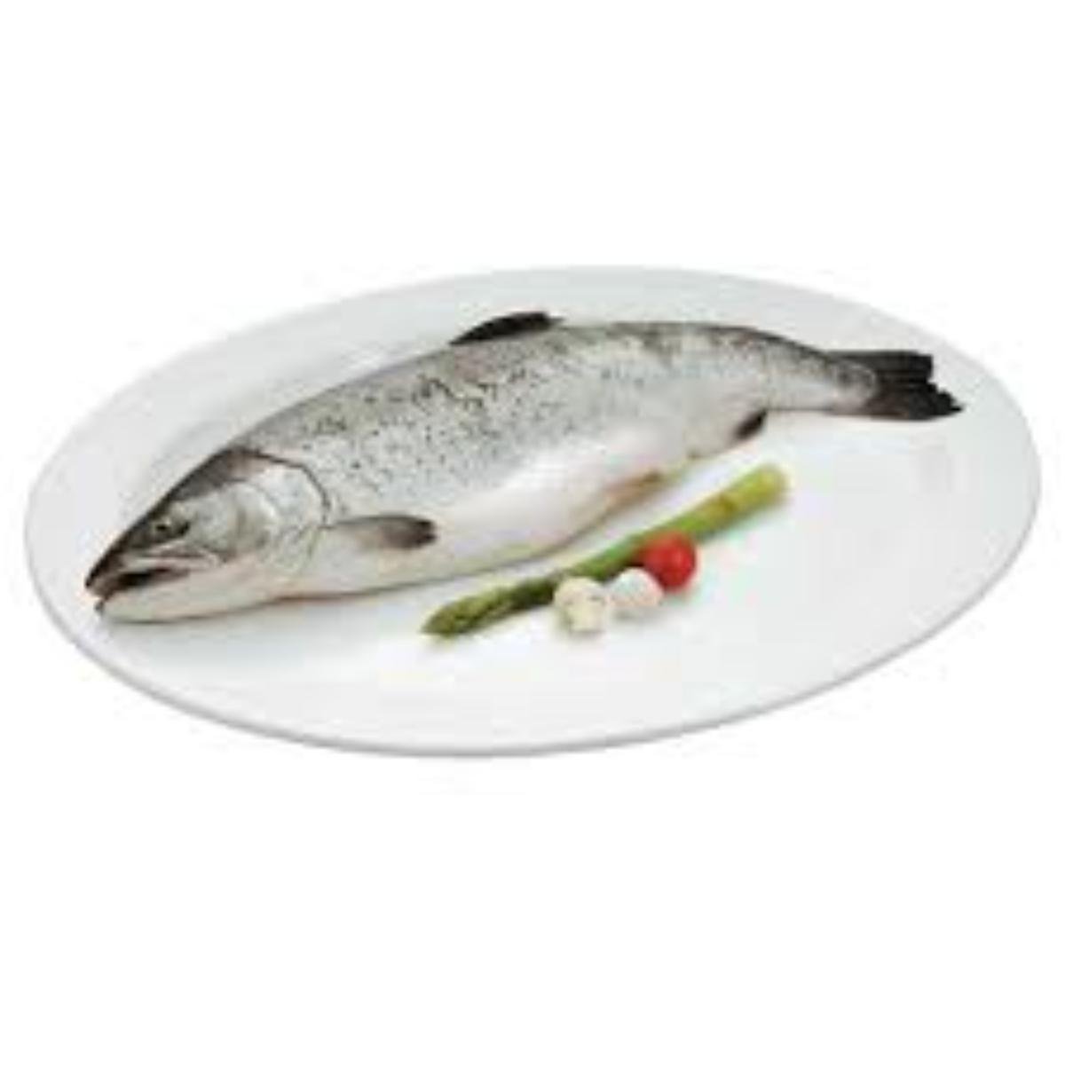 Salmão do Atlântico 4,5Kg