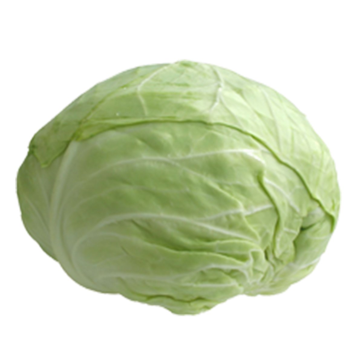 Repolho Verde 1,8kg