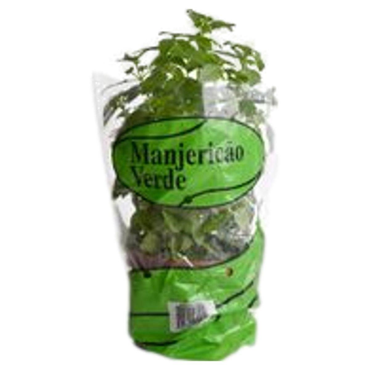 Manjericão Verde Vaso unidade