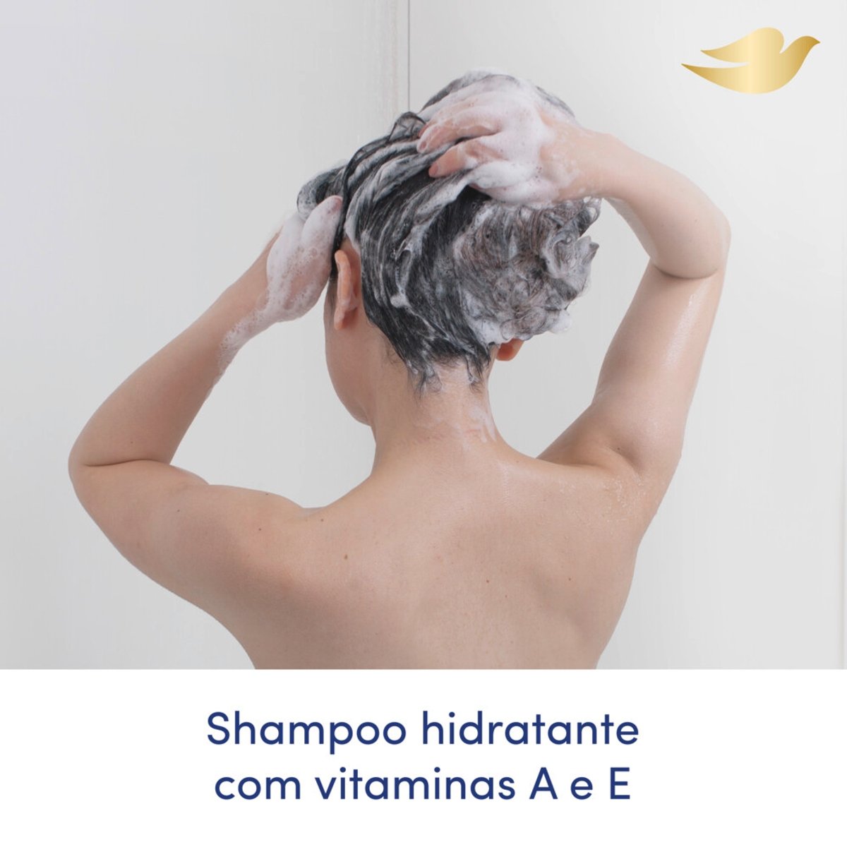 Imagem para seleção