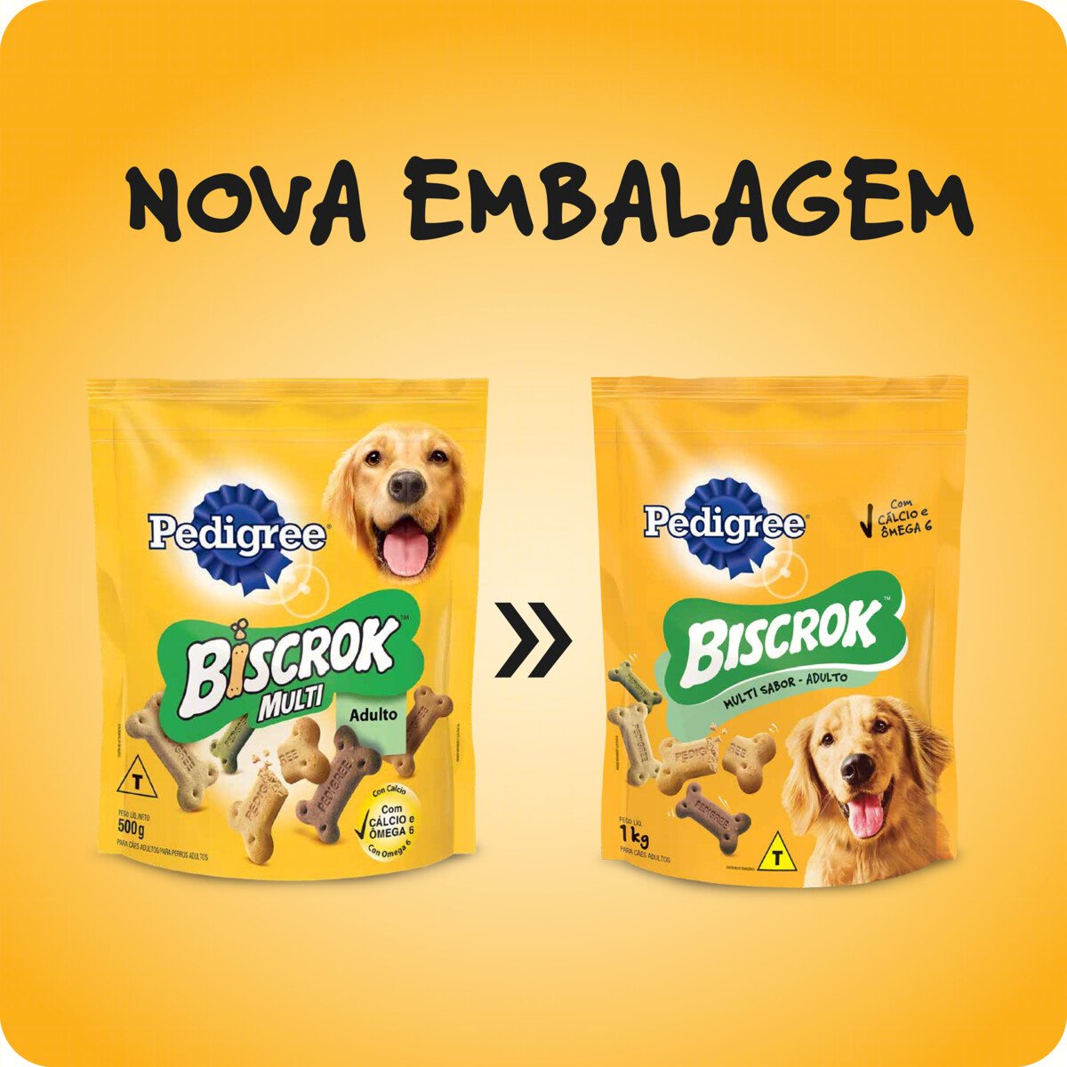 Imagem para seleção