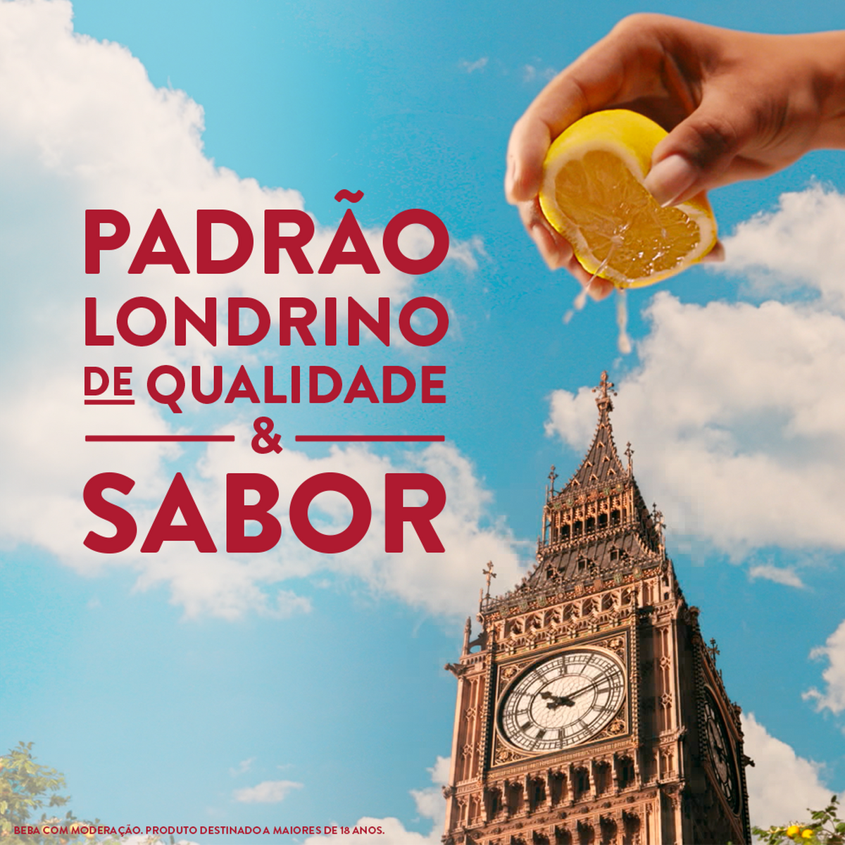 Imagem para seleção