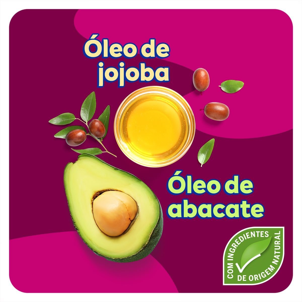 Imagem para seleção