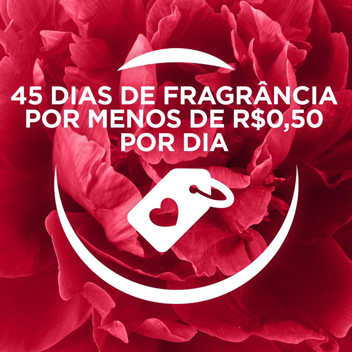 Imagem para seleção
