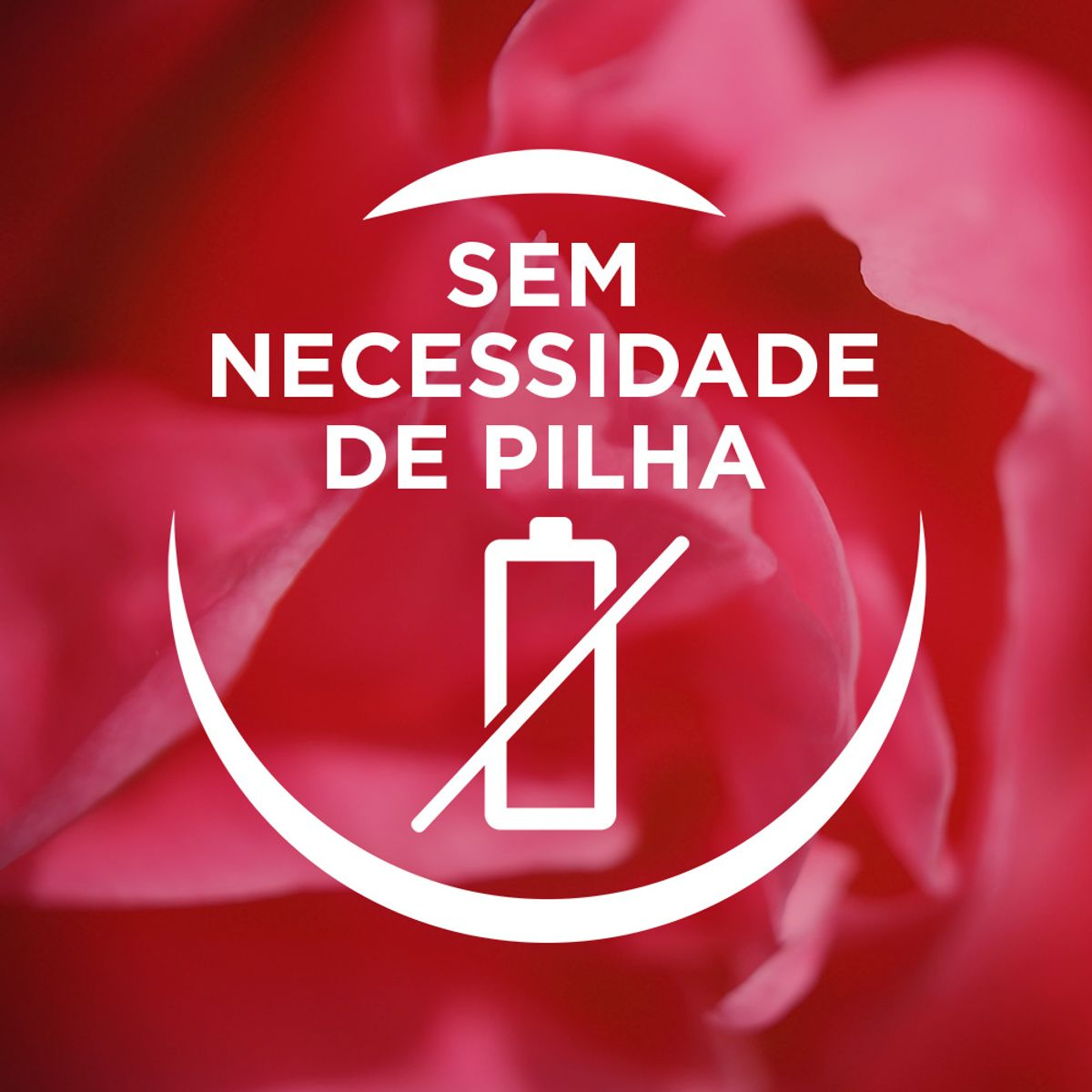 Imagem para seleção