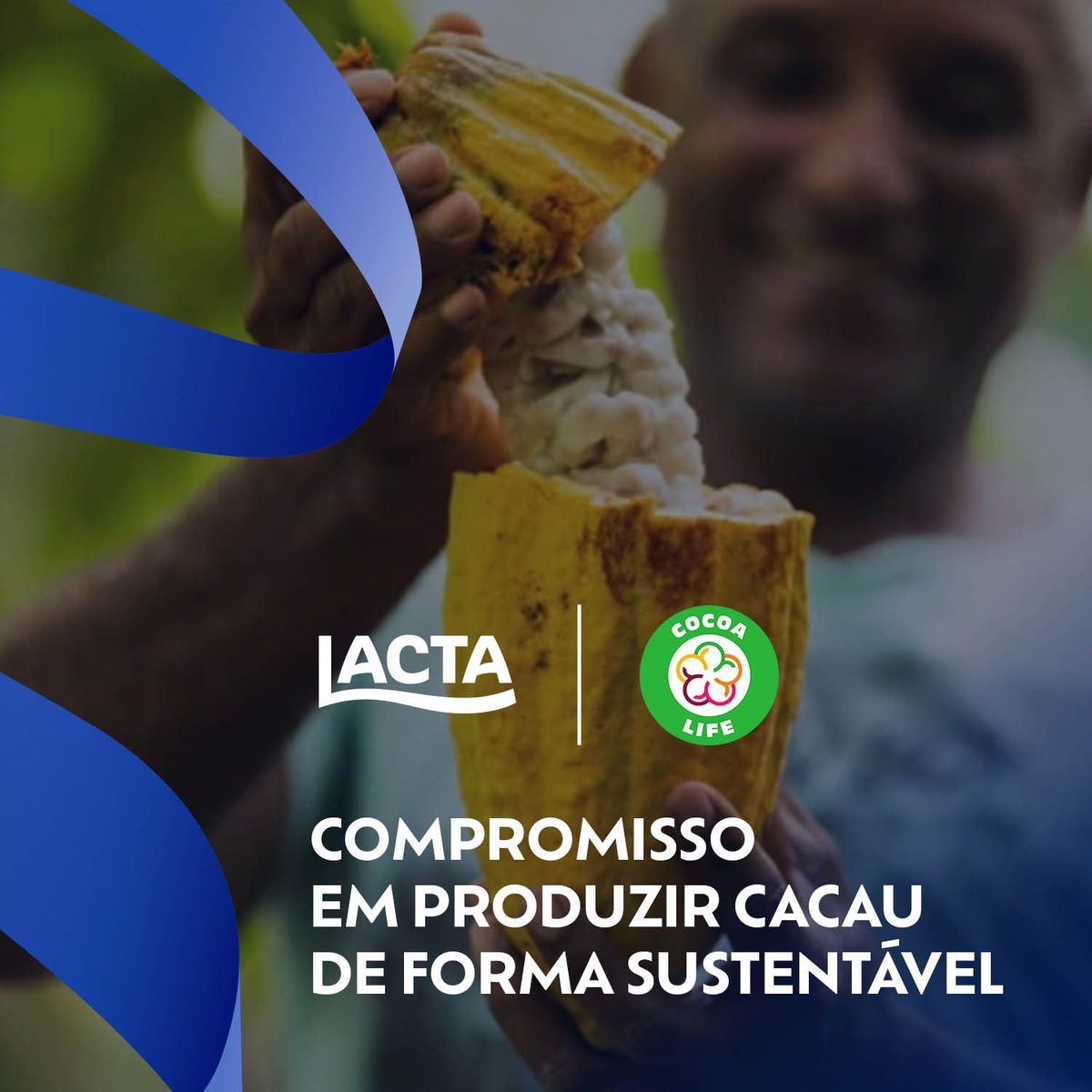 Imagem para seleção