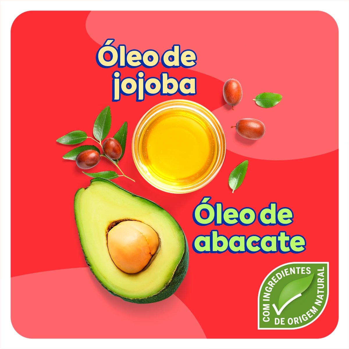 Imagem para seleção