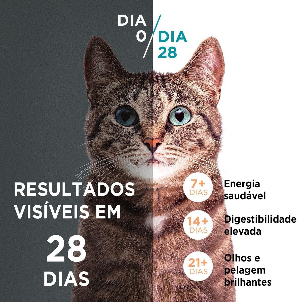 Imagem para seleção
