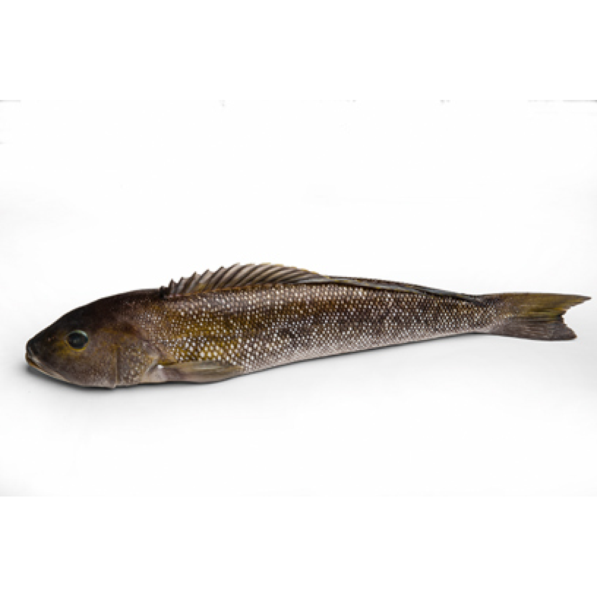 Peixe Namorado Inteiro 800g