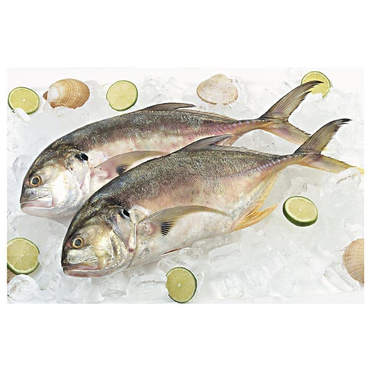 Xaréu Inteiro Fresco 1Kg